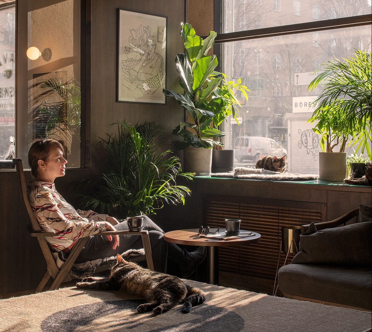 Book - Java Whiskers