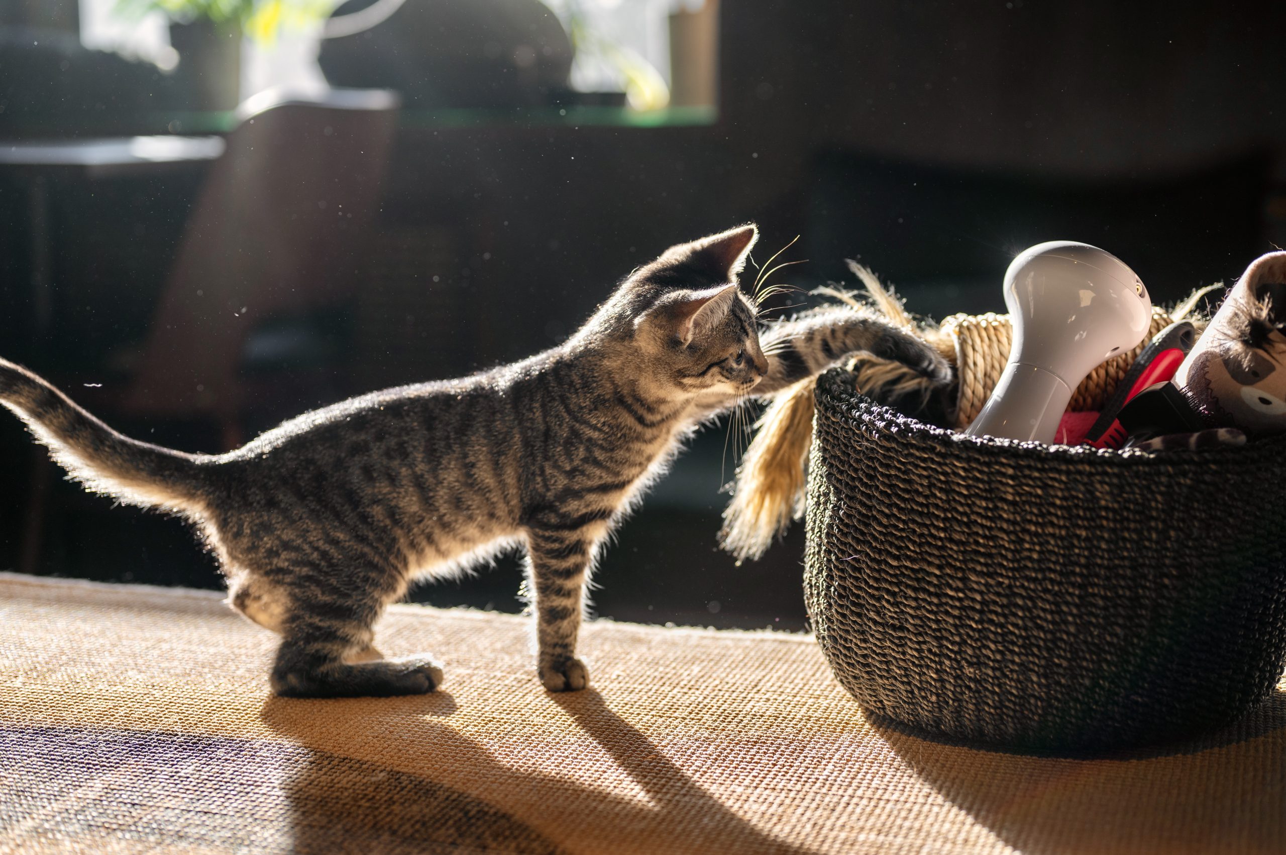 How it Works - Java Whiskers