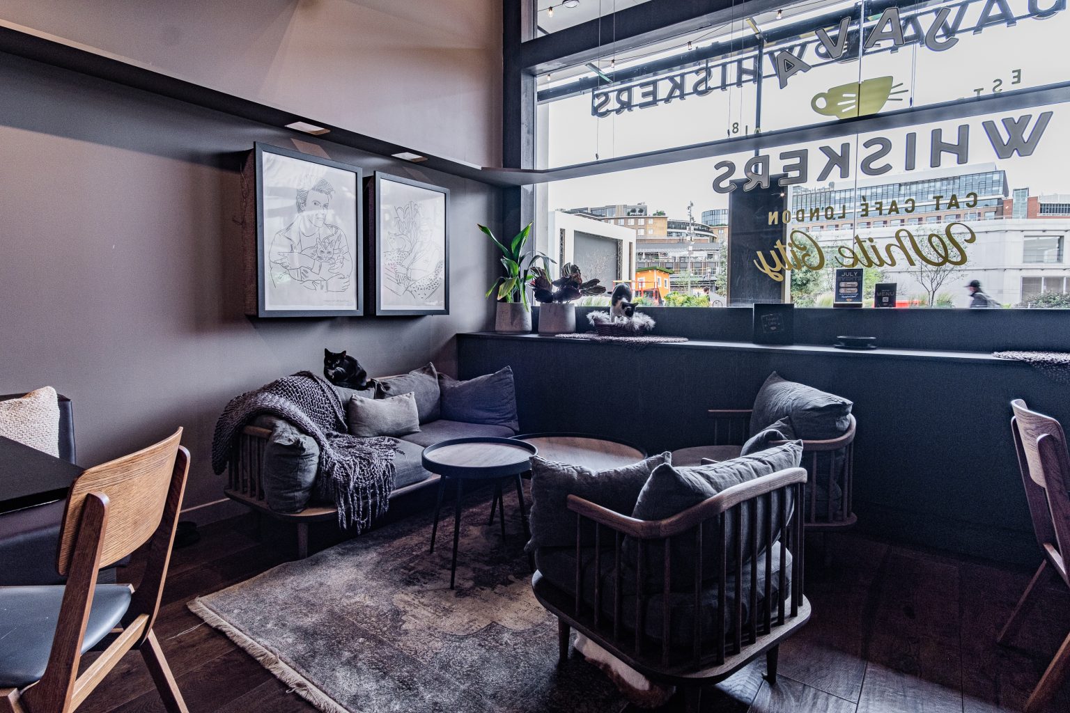 White City - Java Whiskers