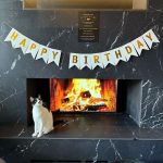 cat cafe birthday