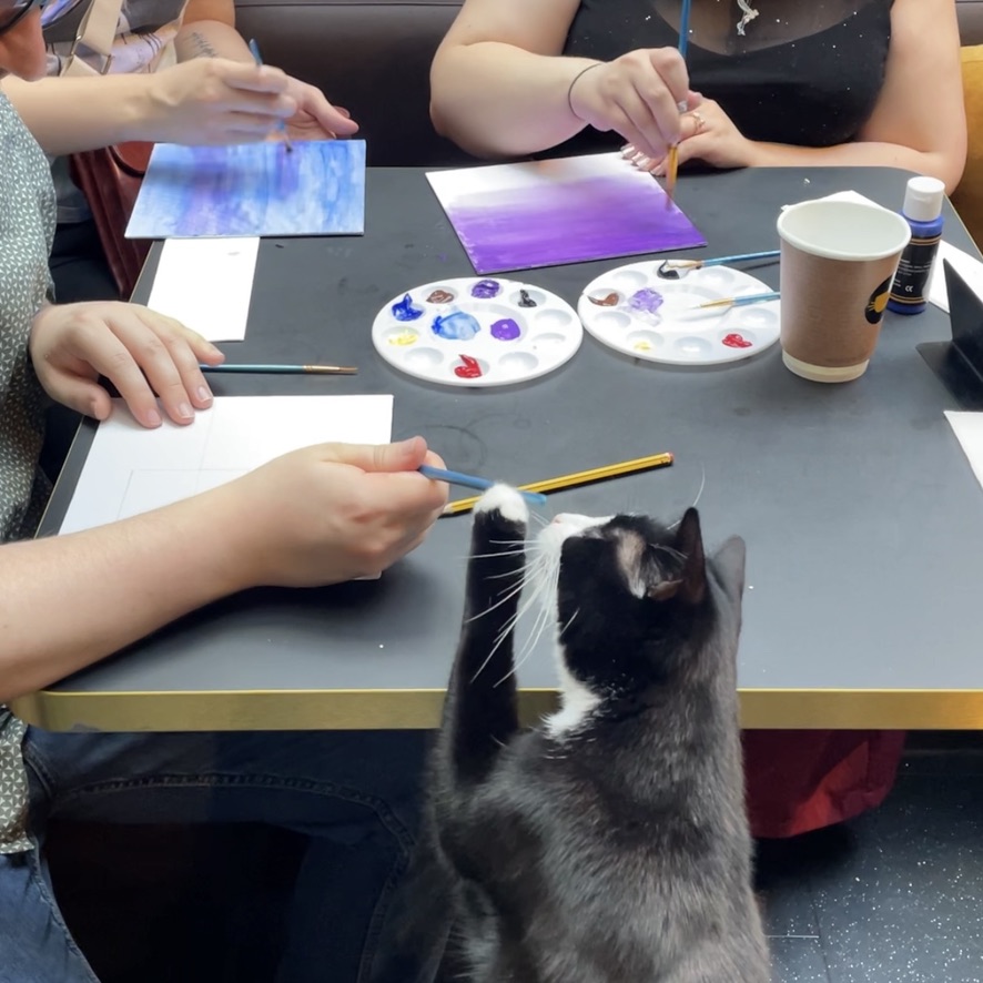 paws & paint