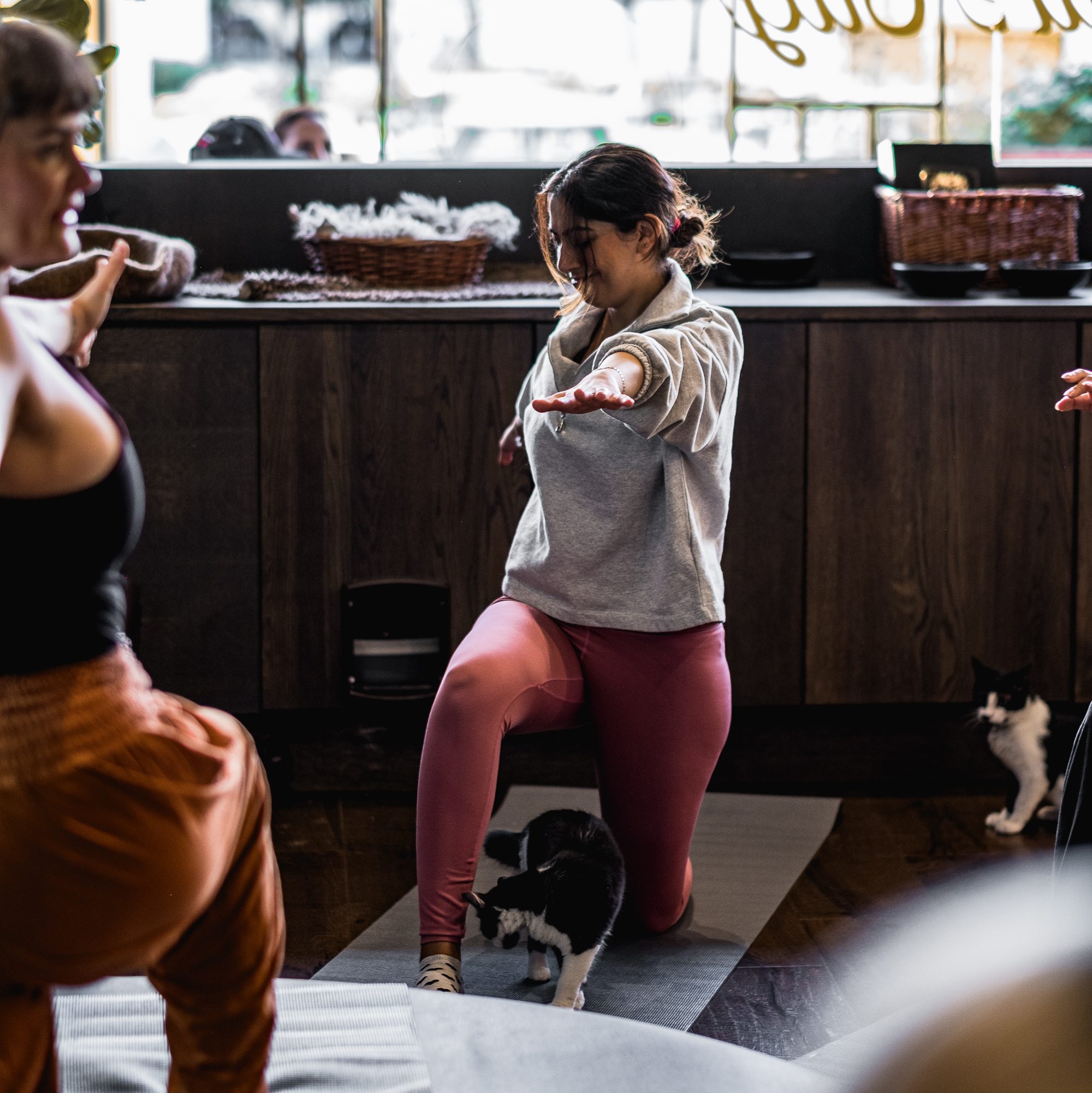 relaxing kitten yoga london