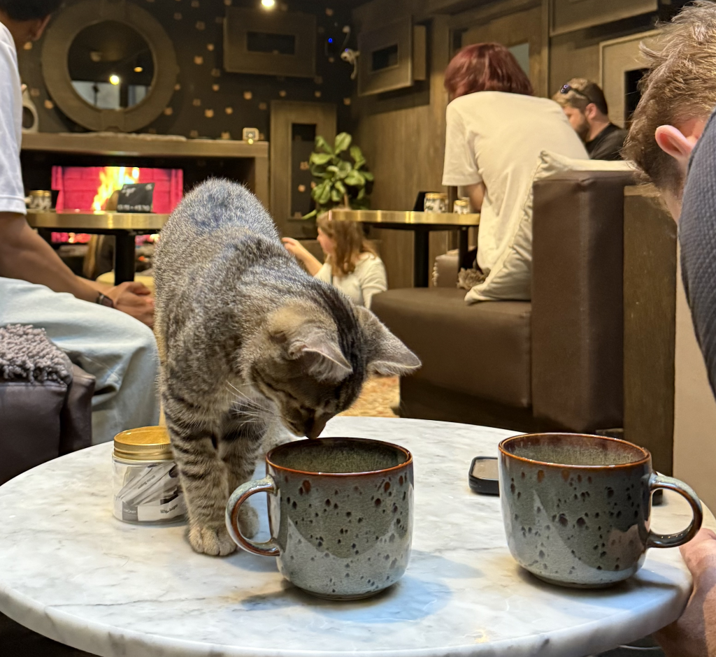 autumn date ideas london
