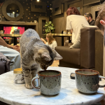autumn date ideas london