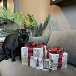 Christmas Gift Voucher