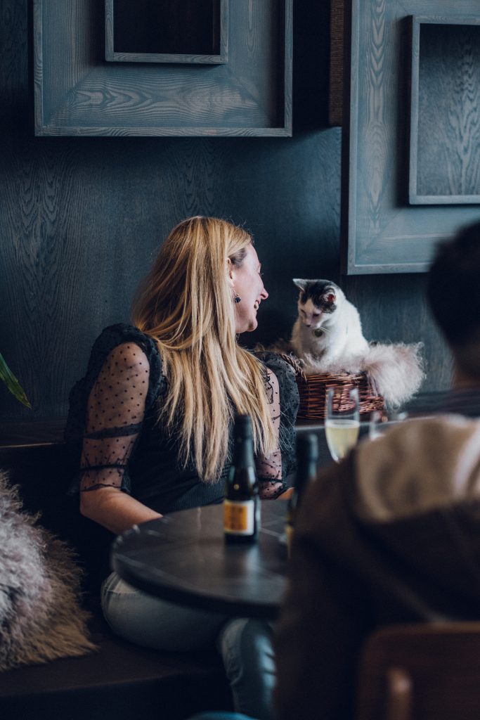 valentines day gift ideas for cat lovers