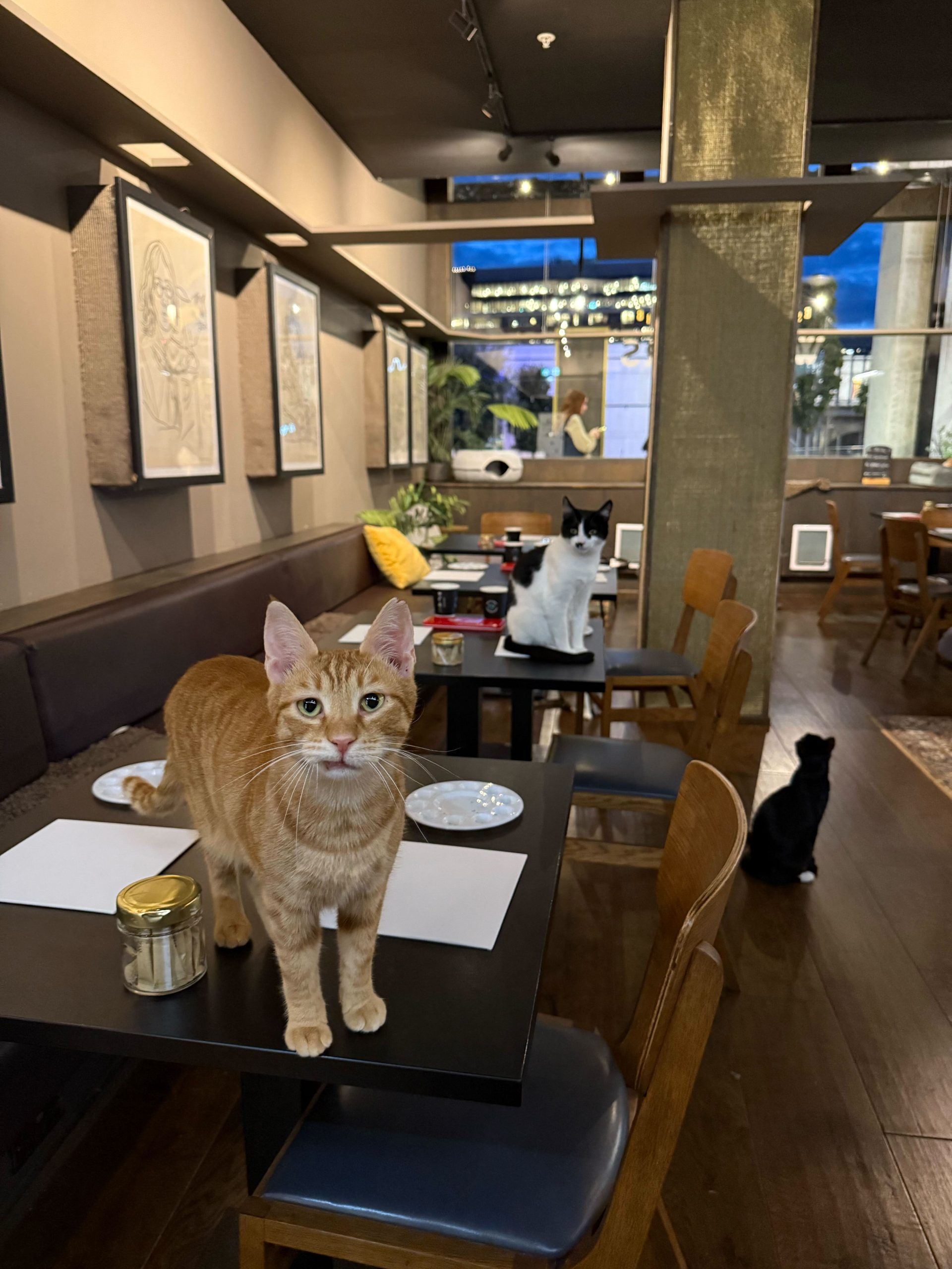 new hobbies to try in 2026