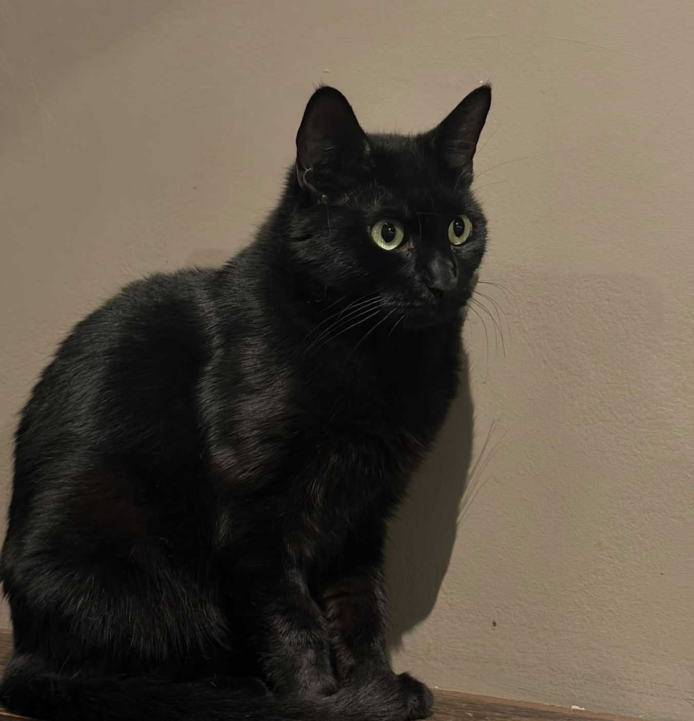 Tilly