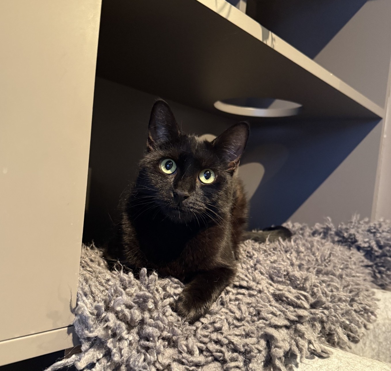 Tilly