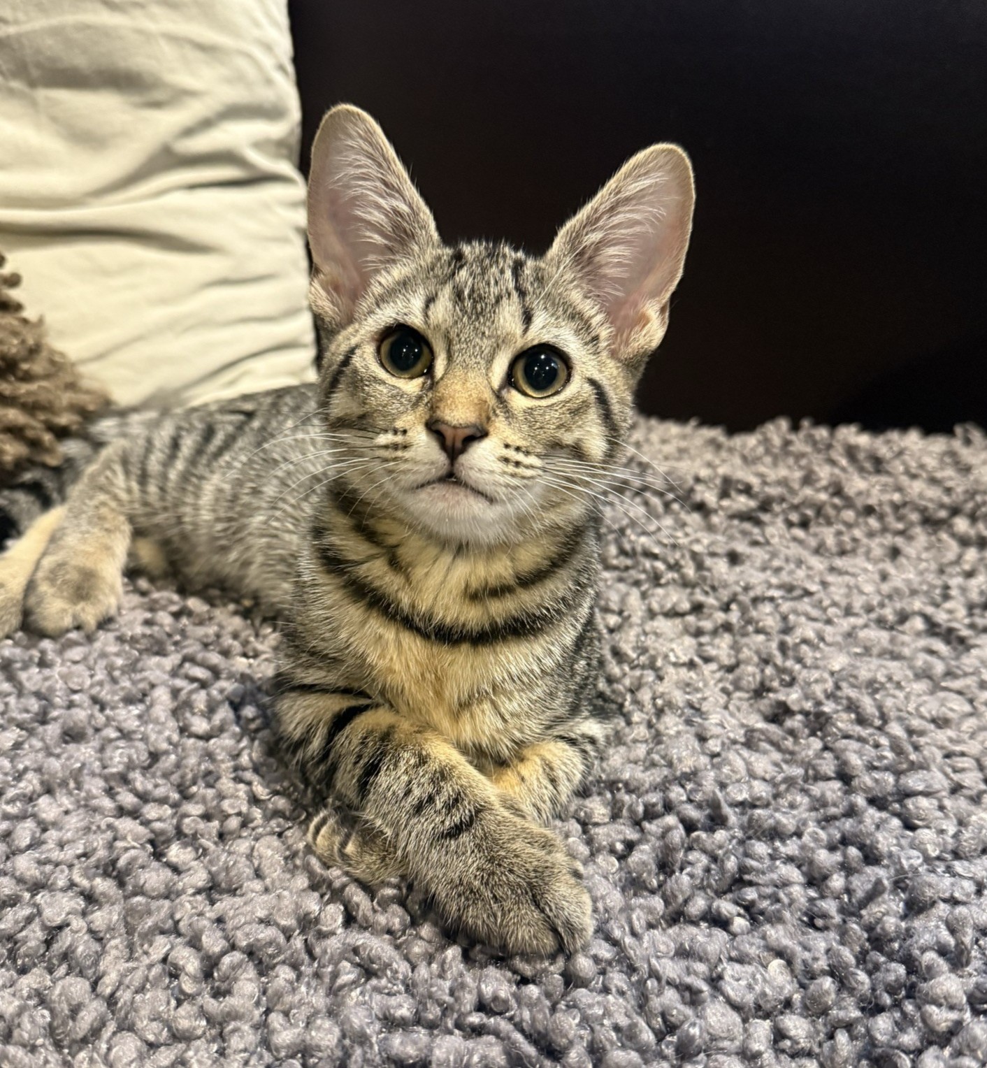 Almond